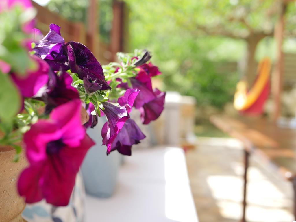 סיבוטה Villa Victoria Boutique Apartments מראה חיצוני תמונה